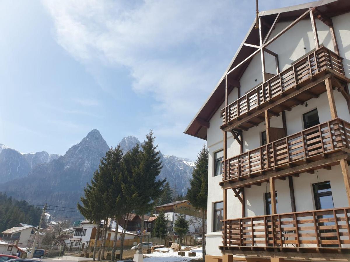 Vila Panoramic Буштени Экстерьер фото
