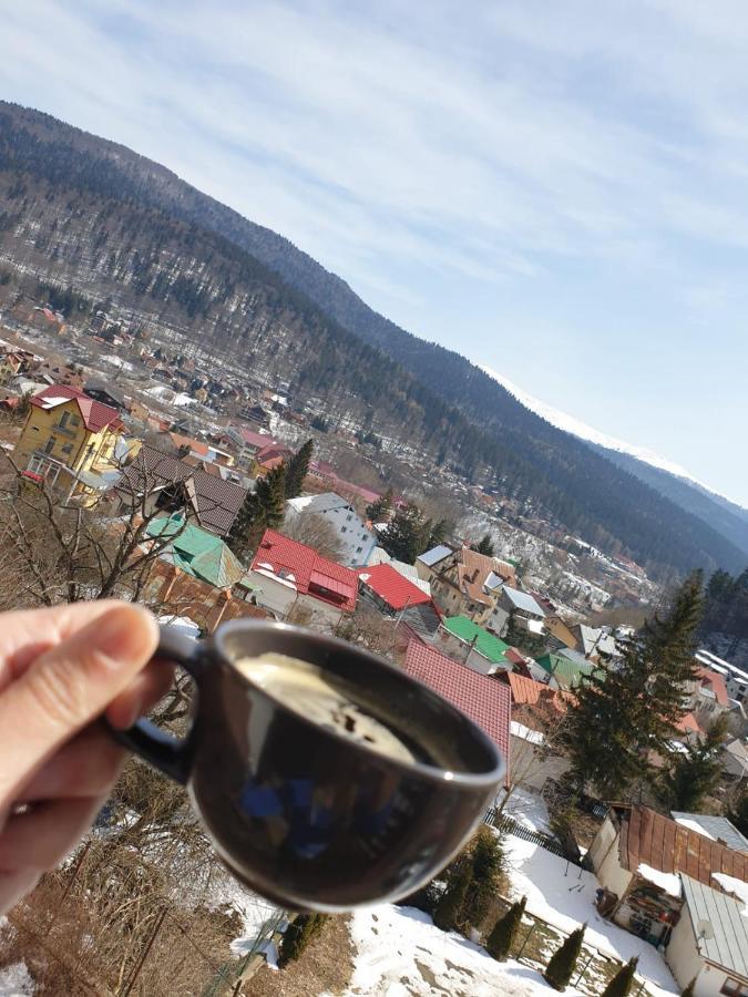 Vila Panoramic Буштени Экстерьер фото