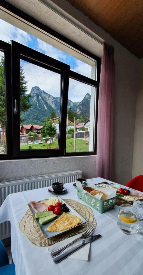 Vila Panoramic Буштени Экстерьер фото