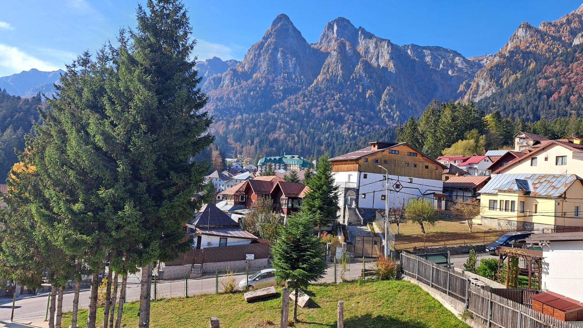 Vila Panoramic Буштени Экстерьер фото